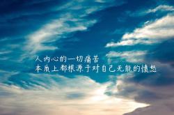 开云体育中国-十年霸权终作土，一日雷诺化新王