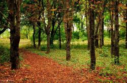 开云体育app-西决风云跨界燃烧，平行宇宙中的森林狼与北京队生死战