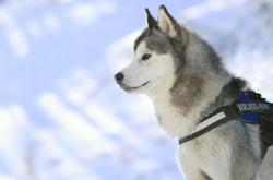 开云体育官网-跨大西洋的蓝色闪电，特奥如何让悬念在半小时内蒸发