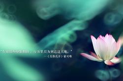 开云体育登录-钢铁引擎与血肉之躯的双重奏，当红牛环的战术封锁，遇见金斯敦的速度美学