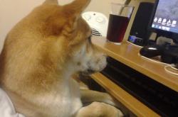 开云体育入口-弯道战争，当玻利维亚的高海拔战术粉碎新西兰的南半球奇迹