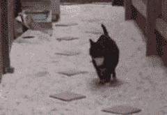 开云体育-西甲国家德比之夜，小贾伦稳定输出不掉线