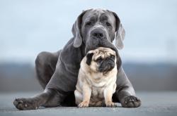 开云体育官网-命运交织的体育史诗，爱尔兰绿茵终结毕尔巴鄂，帕尔默硬木地板加冕王者