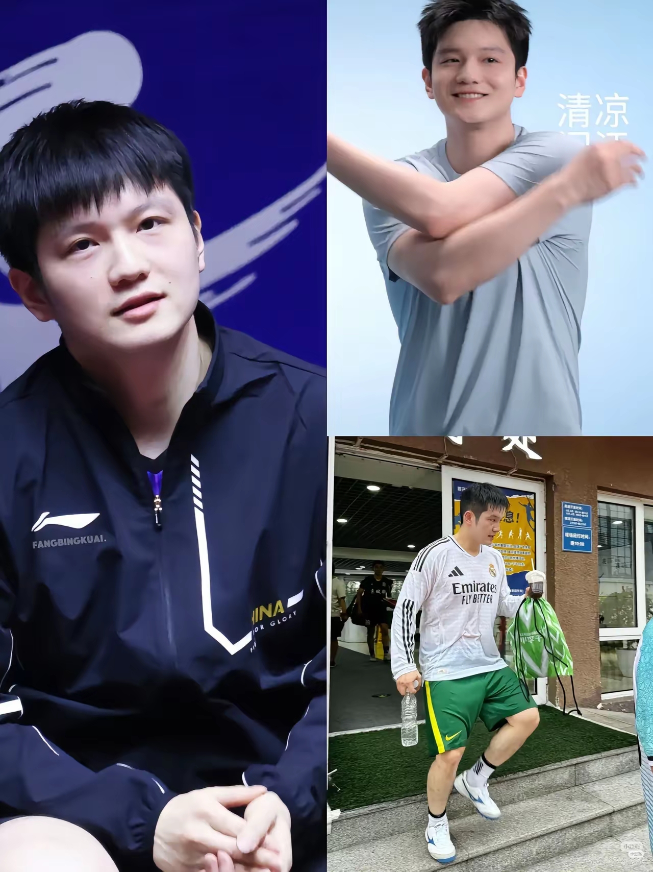 法国队横扫韩国队，樊振东刷新纪录