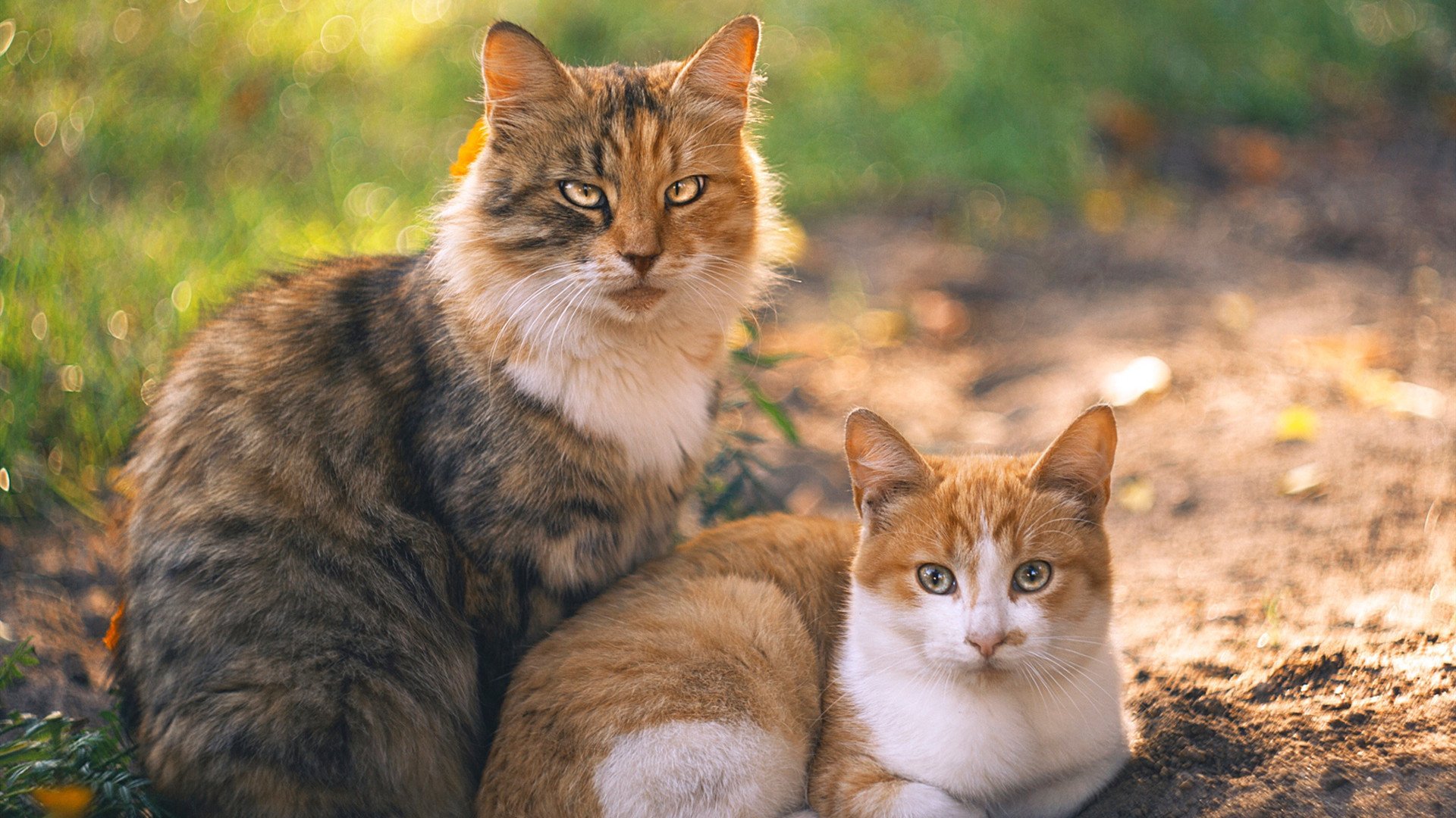 从墨尔本到蔚蓝海岸,鲁德的逆袭之路,澳网遗憾如何铸就蒙特卡洛高光