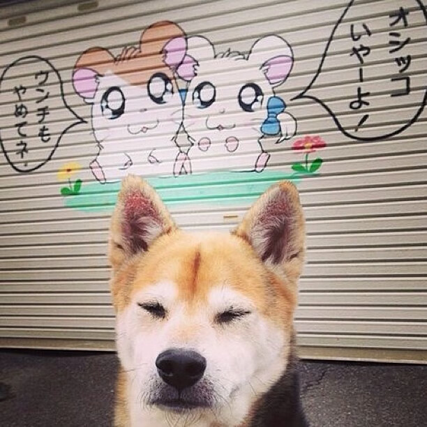 当迈凯伦的铁蹄踏过银石，为何唯有塞恩斯的身影穿透了尘烟？