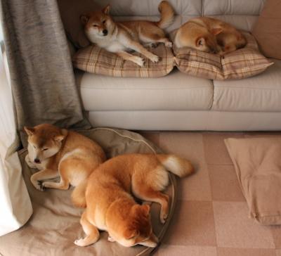 联合杯绝杀法网预演?阿尔卡拉斯用状态火热点燃新赛季