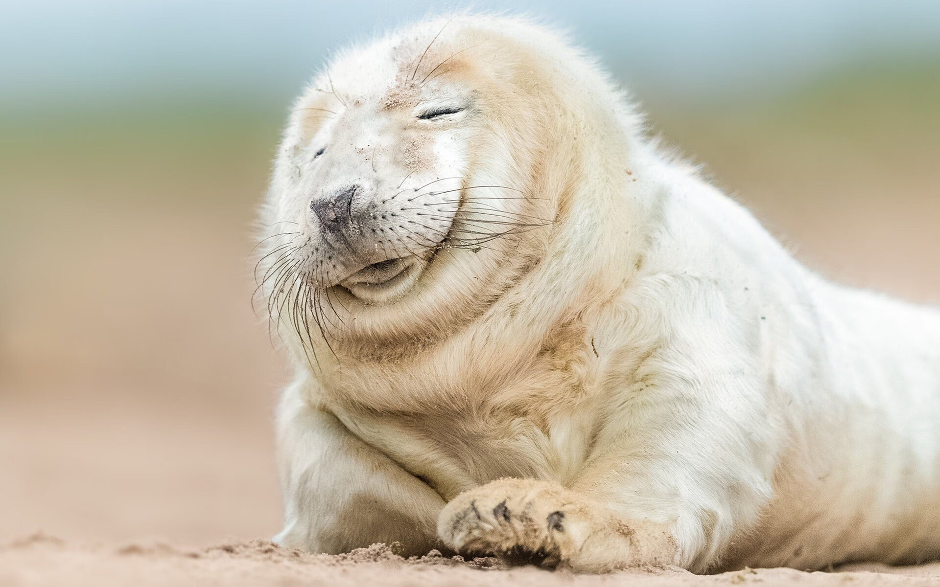 布伦森狂砍50+三双导演惊天冷门，森林狼跨联盟热身赛掀翻十一冠王广东队