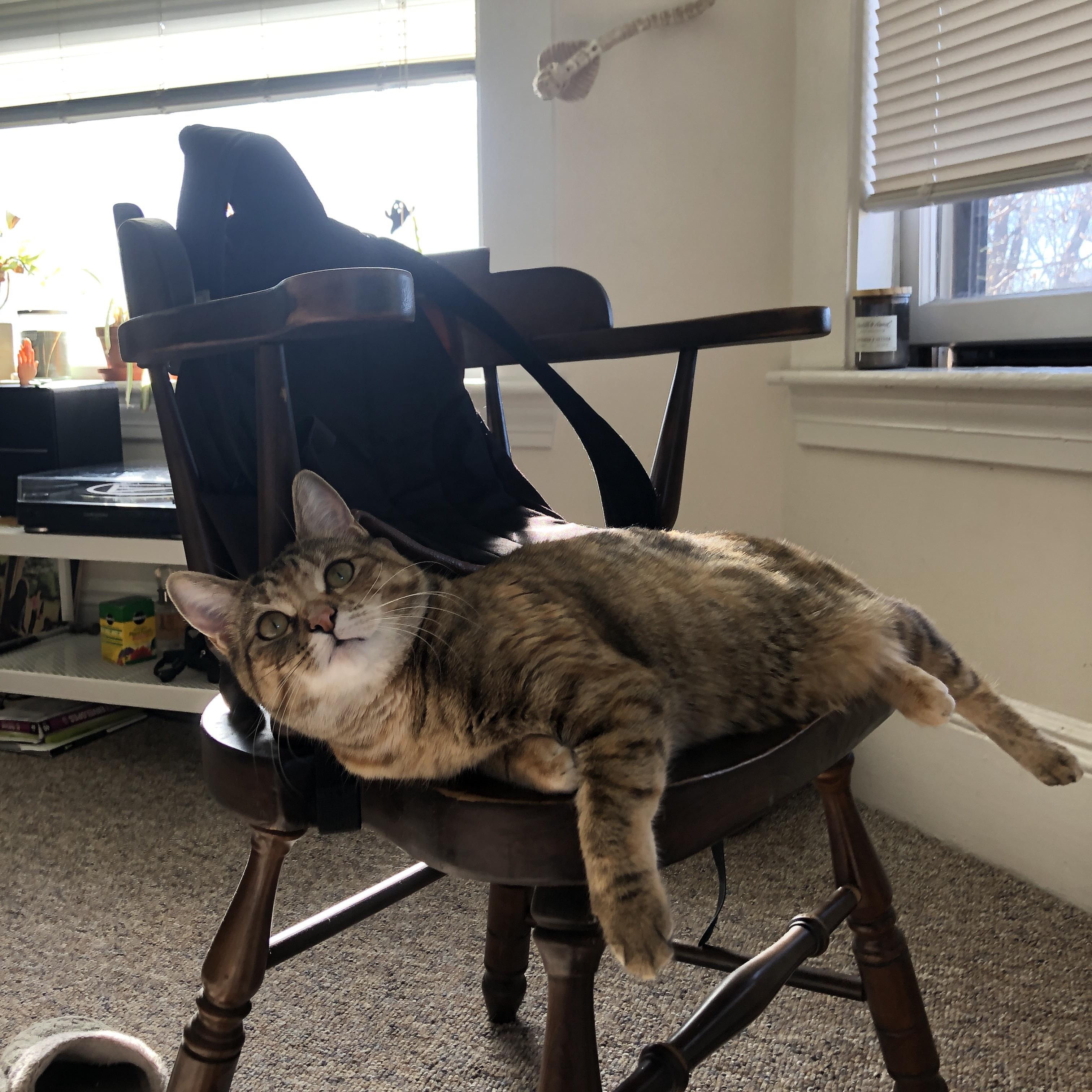 绝境欧文，一幅名为第四节的现代油画，在第三节提前完成