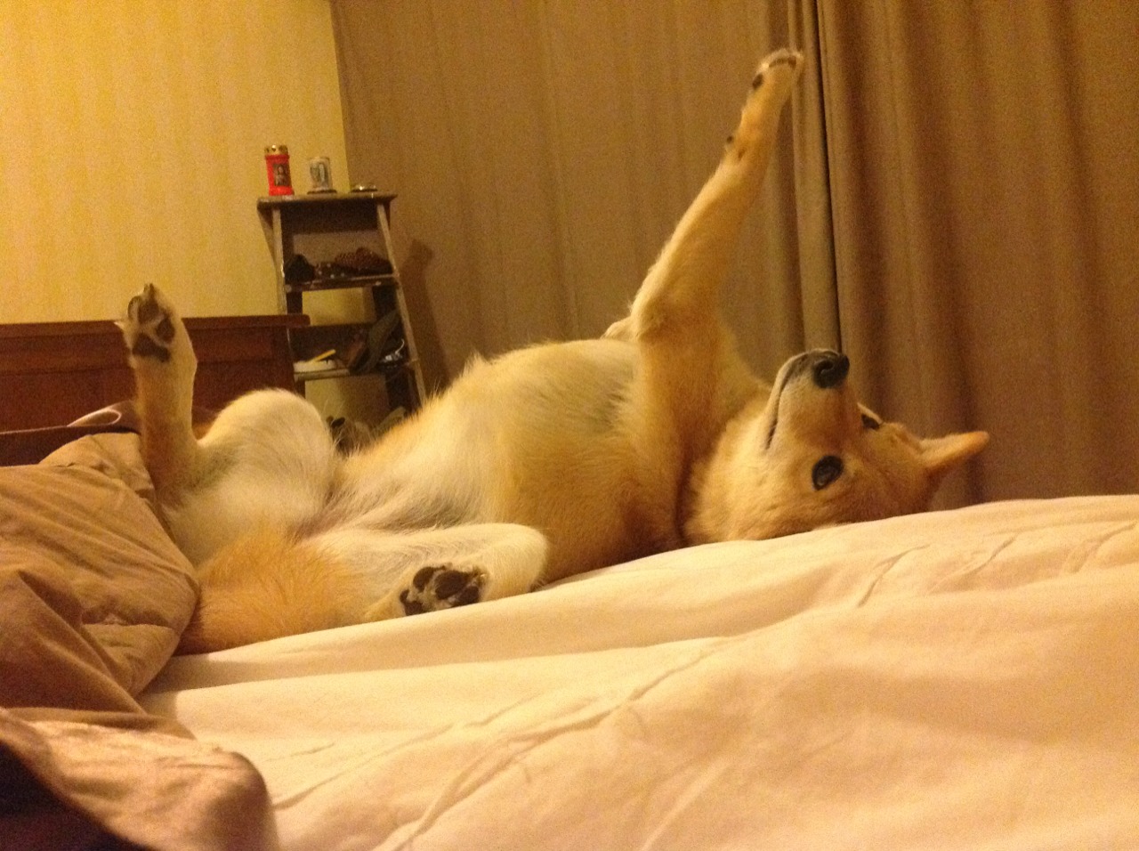 风暴之眼,圣西罗的兵刃交响与俄城的雷霆审判