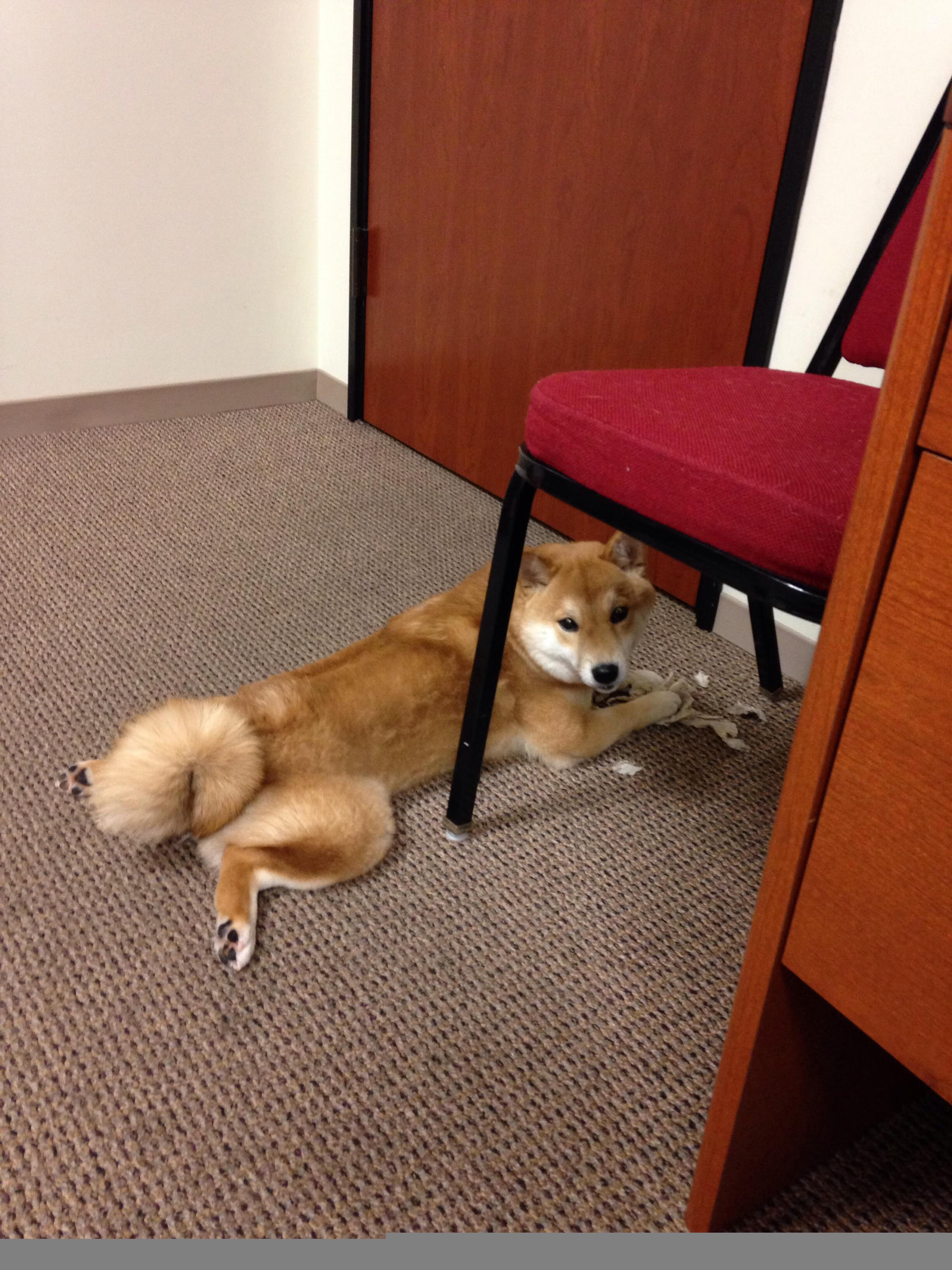 封神之夜，梅西如何以一人之力撕裂钢铁森林