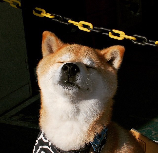 风中的舞者,迪马利亚弧线刺穿黑夜,国际米兰绝境铸就史诗