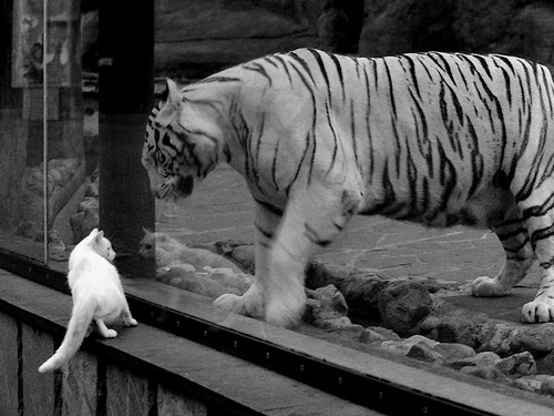 圣日耳曼奇迹之夜,当边缘人奥亚尔萨瓦尔成为唯一胜负手