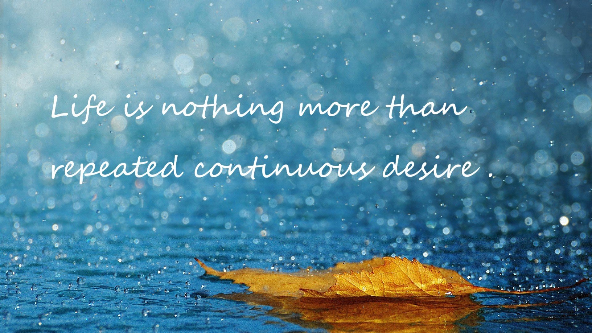 跨越国界的双响炮,巴拉圭新星震撼加盟塞维利亚,奥斯梅恩在国家德比上演接管式表演