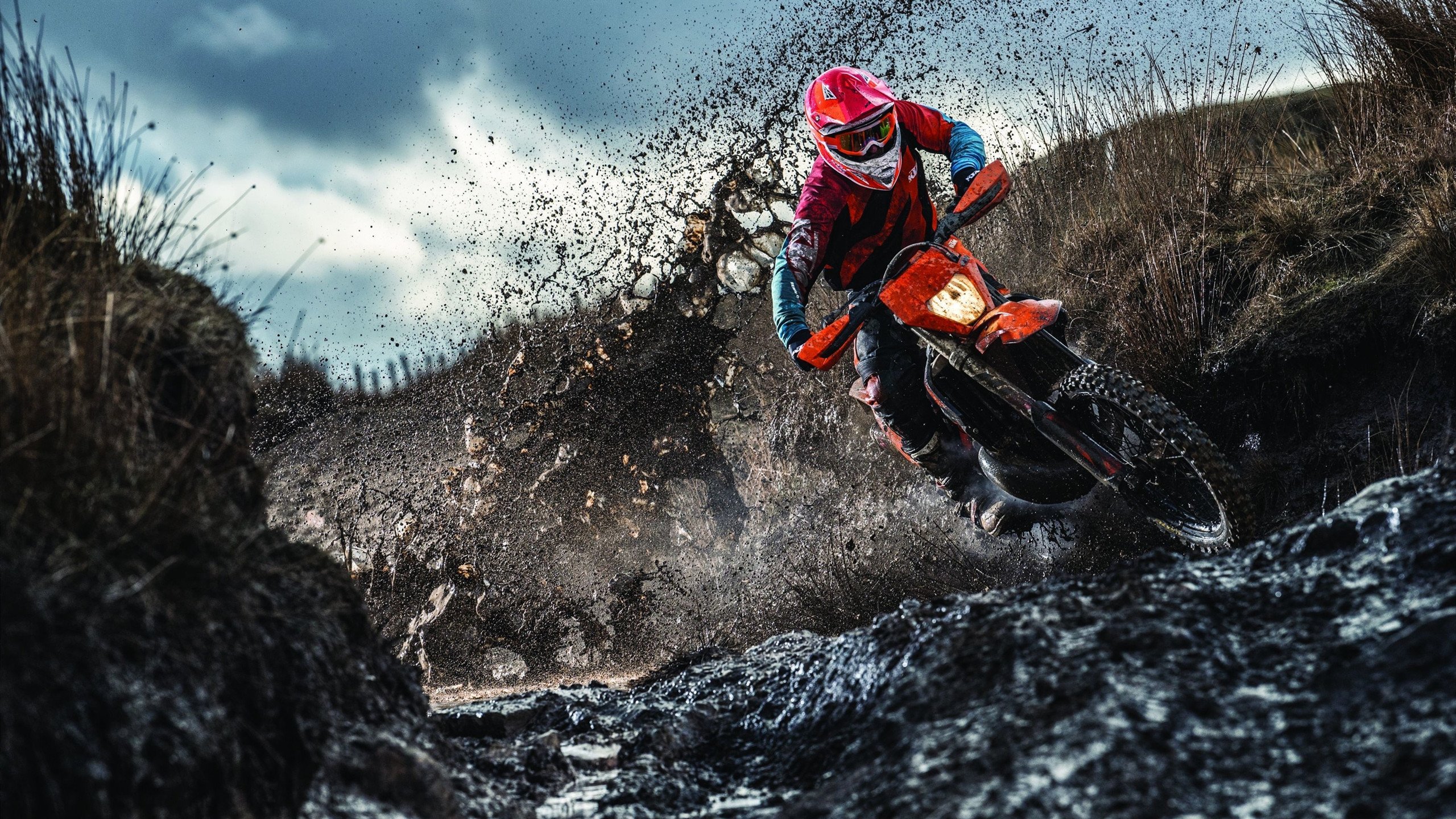 接管艺术的两种语言,约基奇的冷静算力与爱德华兹的暴力浪漫