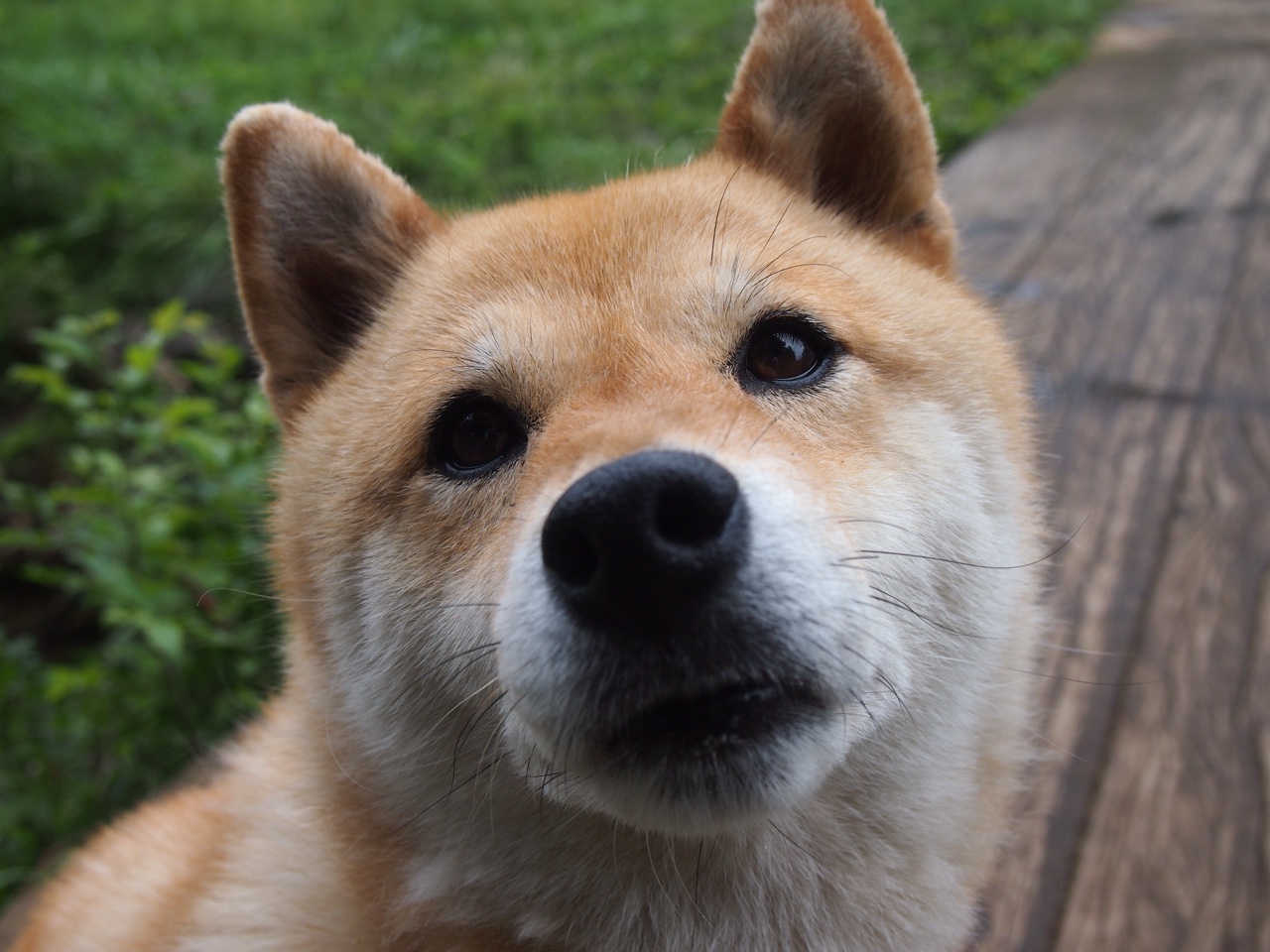 波斯铁骑对阵红白之盾,恩佐一剑封喉的史诗之夜