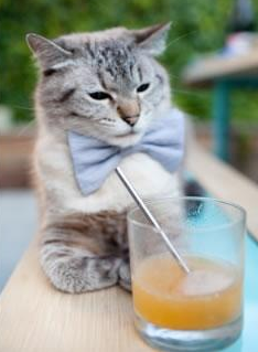 塞维利亚终局鏖战力克同城死敌，奥纳纳统治级数据铸就中场铁闸