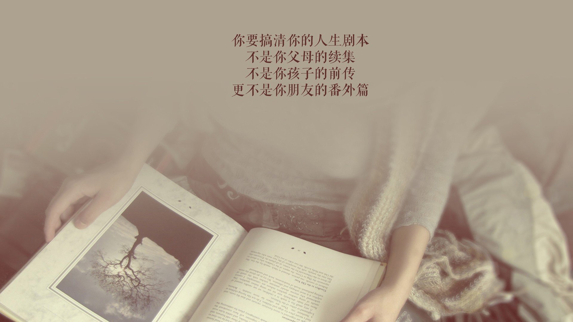 一击定乾坤，匈牙利如何用铁血压制与致命变阵，在2026世界杯C组掀翻德国战车